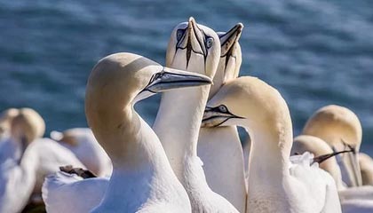 上海最新公积金卡提取现金方法app方法分析(最方便真实的上海公积金卡怎样从手机里取出来?方法)